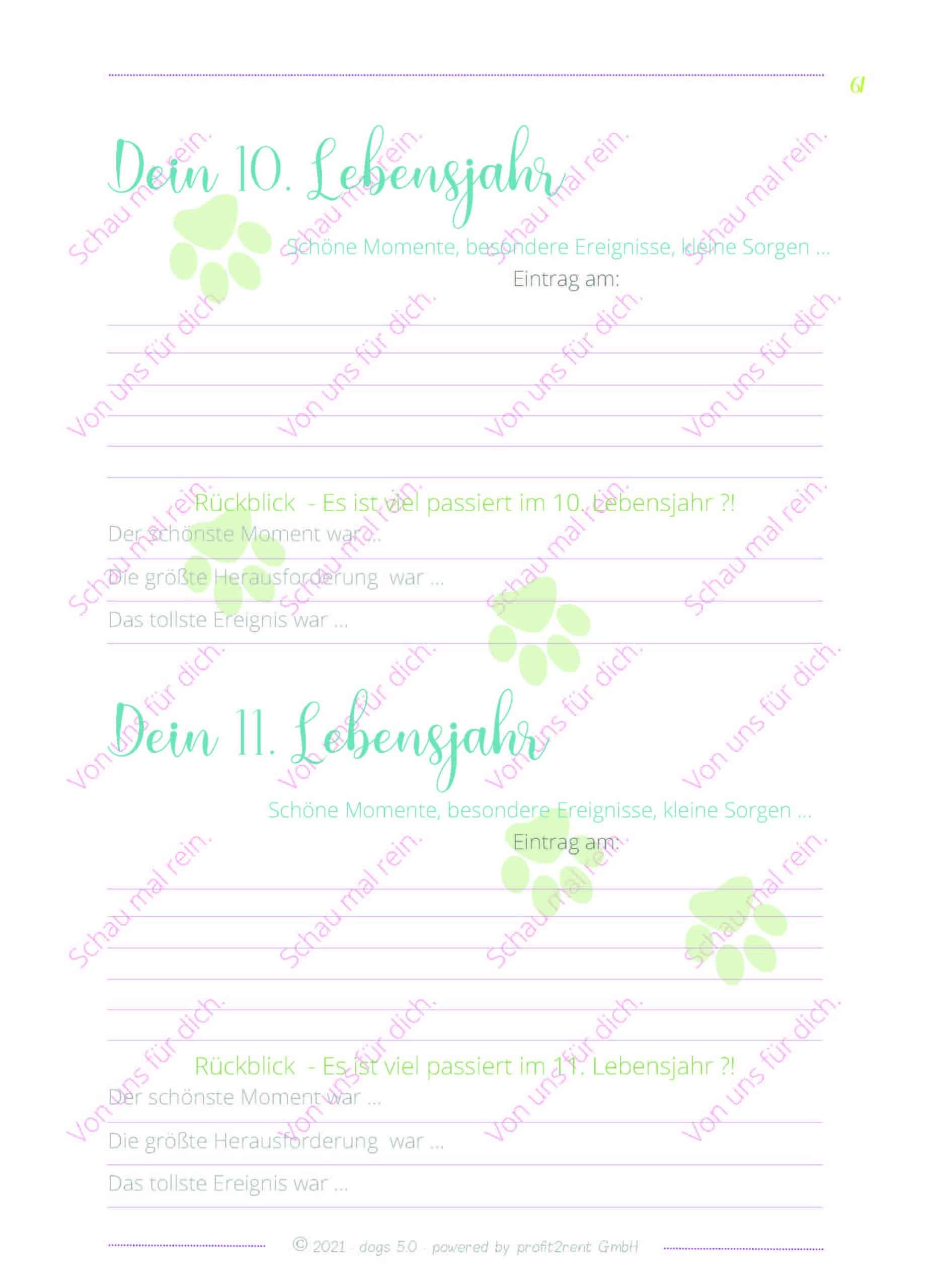 Tagebuch vom Welpen zum Senior – Bild 11