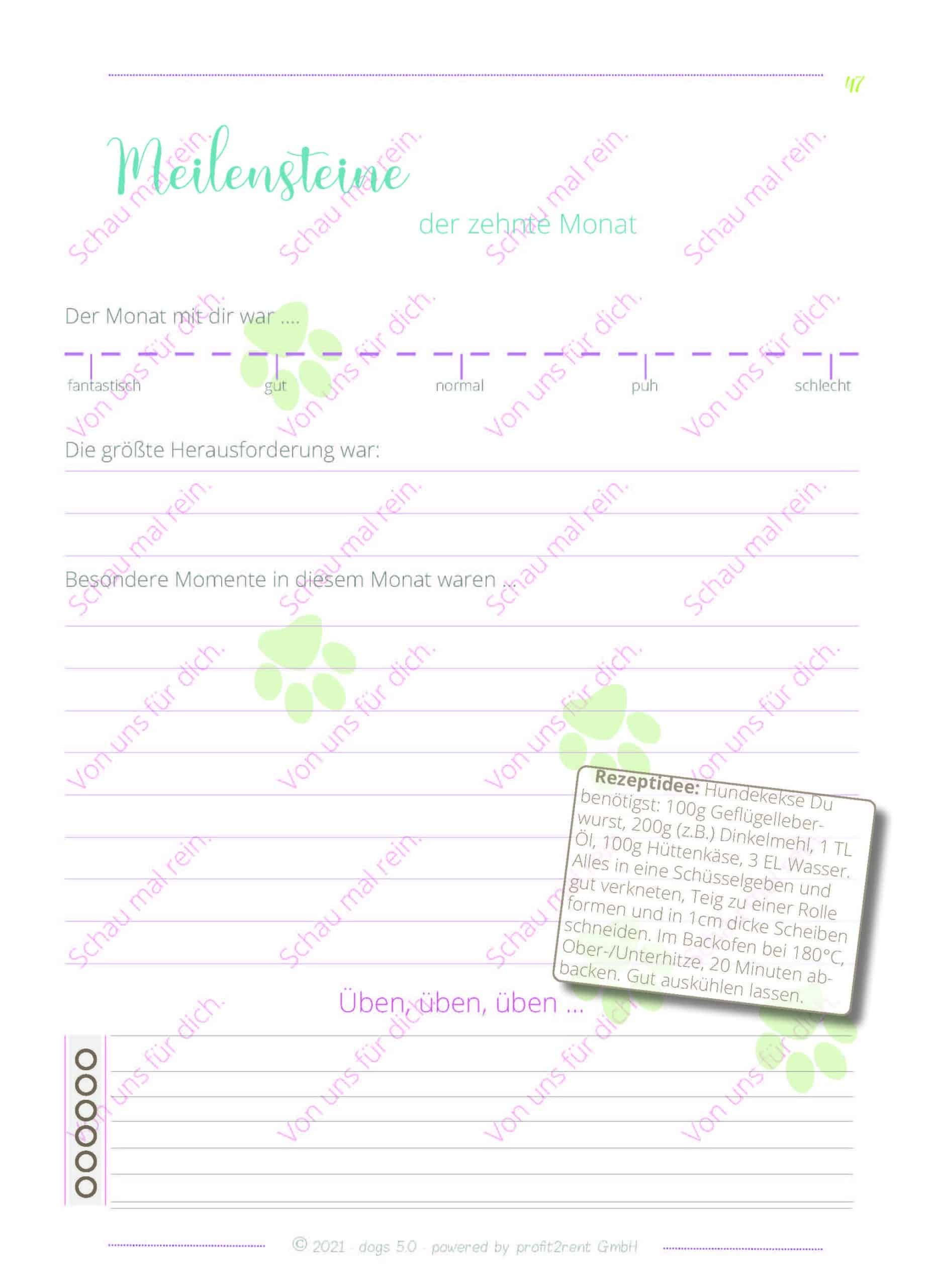 Tagebuch vom Welpen zum Senior – Bild 10